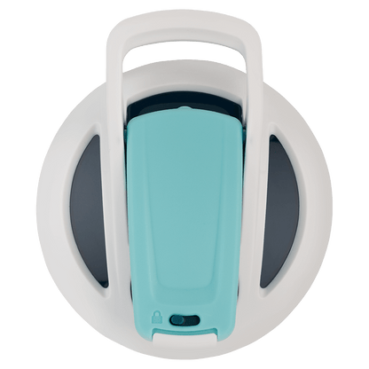 Blue Spruce - Sleek Sport (S7LZH)